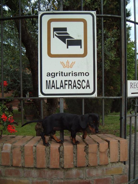 Agriturismo Malafrasca Villa Siena Exteriör bild