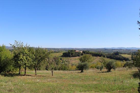 Agriturismo Malafrasca Siena Exteriör bild